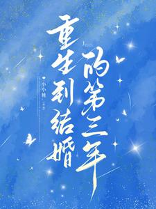 重生到结婚的第三年