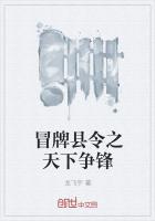 冒牌县令之天下争锋