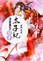 涅槃重生：杀手太子妃