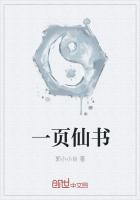 一页仙书
